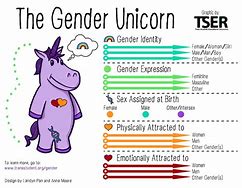 Image result for LGB Tq+ Unicorn Meme