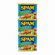 Image result for Spam Lite