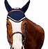 Image result for Horse Jewlery Case
