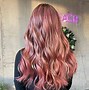 Image result for Rose Gold Temporary Hair Dye