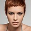 Image result for Model Coiffure