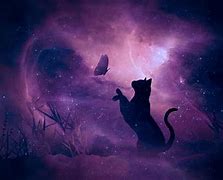 Image result for Galaxy Glasses Cat