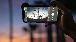 Image result for moments fish lenses