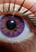 Image result for Real Eye Colors