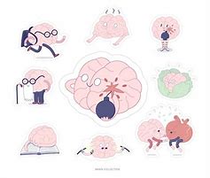 Image result for Cartoon Brain Learning Stickers