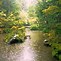 Image result for Moss Garden Japan