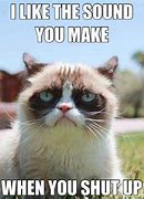 Image result for Funny Grumpy Cat Sayings