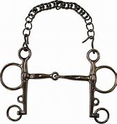 Image result for Pelham Bit Bridle