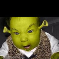 Image result for Shrek Kids Meme