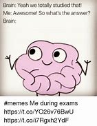 Image result for Expand Brain Meme