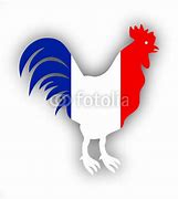 Image result for Coq De France