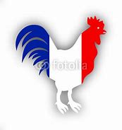 Image result for France Logo Coq