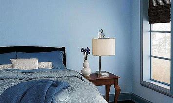 Image result for Pale Blue Wall Paint
