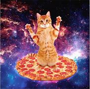 Image result for Pizza Cat Meme