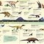 Image result for Usborne Dinosaur Book