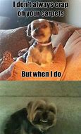 Image result for Bad Day Funny Animal Memes