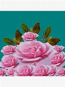 Image result for Blush Garden Rose