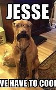 Image result for Walter White Dog Meme