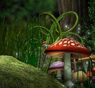 Image result for 2048 X 2732 Wallpaper Mushroom