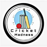 Image result for Rlcraft Cricket Thing