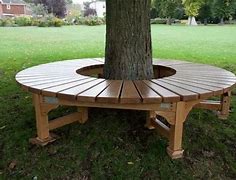 Image result for Bench around Tree Ideas