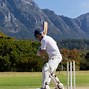 Image result for Cricket When Batman Hit a Ball