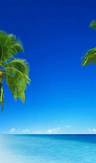 Image result for Tropical Beach iPhone Background