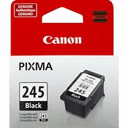 Image result for Canon Printer Ink Cartridges 245