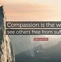 Image result for dalai lama compassion quotations