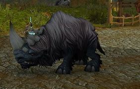 Image result for WoW Pets for Hunters