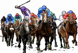 Image result for Horse Racing Tip Sheets
