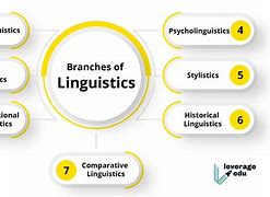 Image result for Syntax Linguistics