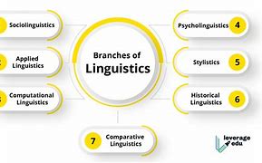 Image result for English Language Linguistics