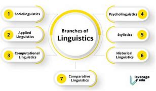 Image result for Linguistics Major