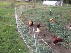 recinti per animali da cortile electric fencing incentive program smart durango recinti per animali da cortile electric fencing incentive program smart durango