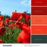 Image result for iPhone Colour Palette