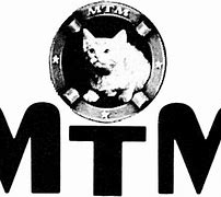 Image result for MTM Enterprises CLG Wiki