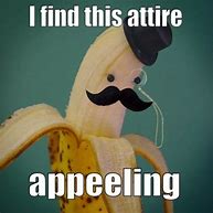 Image result for Clever Funny Puns