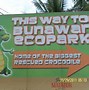 Image result for Giant Crocodile Philippines