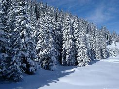 Image result for 30 Inches of Snow