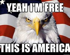 Image result for Sarcastic Meme On Freedom