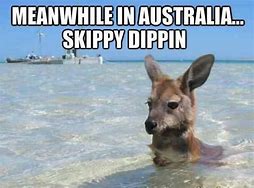 Image result for Skippy with a Moustache Funny Images