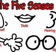 Image result for Five Senses Anchor Chart