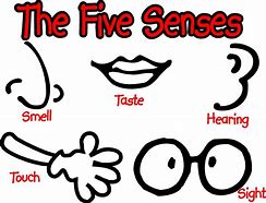 Image result for Five Senses Arts and Crafts