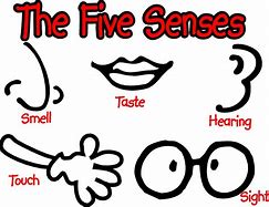 Image result for 5 Senses Poster