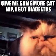 Image result for Diabeetus Cat Meme