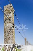 Image result for Blue Paint On Barbed Wire Fence