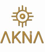 Image result for Akna SS