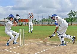 Image result for Cricket Sport