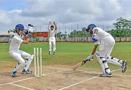 Image result for Cricket